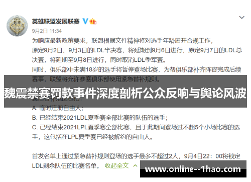 魏震禁赛罚款事件深度剖析公众反响与舆论风波