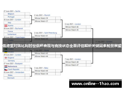 佩德里对阵比利时世俱杯表现与竞技状态全面评估解析关键因素前景展望