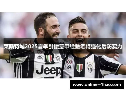 莱斯特城2025夏季引援意甲经验老将强化后防实力