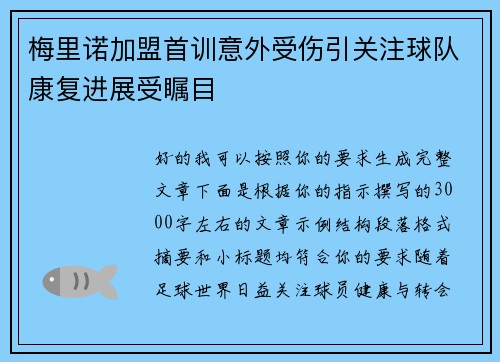梅里诺加盟首训意外受伤引关注球队康复进展受瞩目