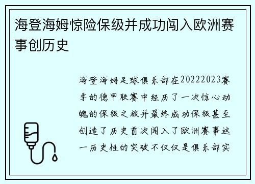 海登海姆惊险保级并成功闯入欧洲赛事创历史